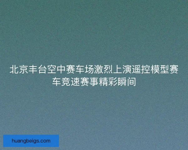 北京丰台空中赛车场激烈上演遥控模型赛车竞速赛事精彩瞬间